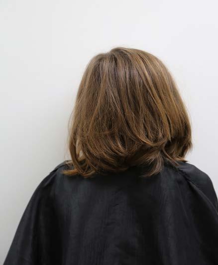 Half-Head Salon Study Figure 5. Full Head Baseline Photo of Untreated Hair.