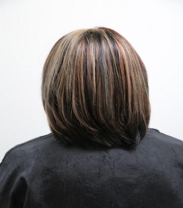 Half-Head Salon Study Figure 1. Full Head Baseline Photo of Untreated Hair.
