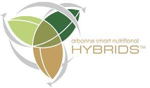 Arbonne Smart Nutritional Hybrids Summary Daily Nutrition Made Simple Core Vitamins and Minerals Super Food