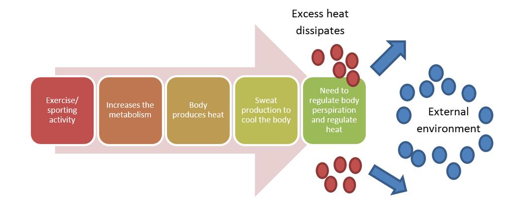 flow blood flow are some of the body s mechanisms to dissipate heat (Figure 2). Inappropriate clothing may affect the ability of the body to lose heat from the body.