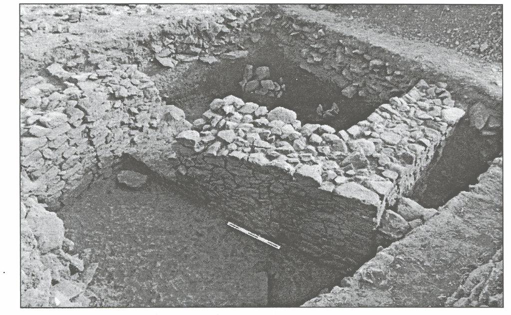 Figure 5: Stone walls, showing several stages of modification, at the northern domestic area (trench D6). Scale: 50 cm.