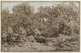 tif Creator(s): Théodore Rousseau (, 1812-1867) Title/Date: Forest Interior, 1865 Charcoal, heightened with white oil paint on prepared canvas Unframed: 90.