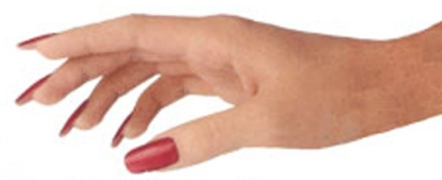 Use of artificial nails by healthcare workers poses no risk to patients.