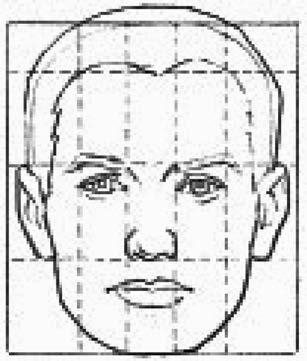 From a profile view, the chin should be in line with the lower lip.