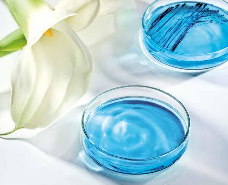 Preservatives for Cosmetics & Toiletries euxyl preservation according to your needs There are a number of factors to consider when choosing a preservative for your formula different ingredients in
