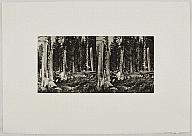 1662 Snowfall, Northern Sierras, 1847, 2014 Photogravure, edition of 24 A.P. 2/6 sheet: 16 1/4 x 23 1/16 inches (41.