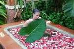 ARAAMU BATHING CEREMONIES& Elements A great way to relax before any treatment. DE-STRESS BATH 30 minutes USD 44.