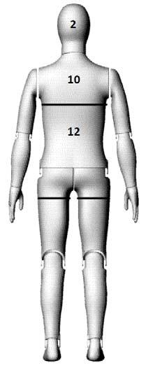 3 Thermal manikin The Newton Thermal manikin (supplied by Measurement Technology Northwest Seattle, WA, USA) was used in this