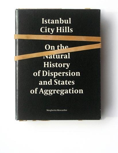 Istanbul City Hills_ On the Natural History of Dispersion and States of Aggregation 2013-2014 Courtesy Fondazione MAXXI, Rome, Italy. n. 5 ed. cm 17,5(l)x2,5(l)x13,5(h).