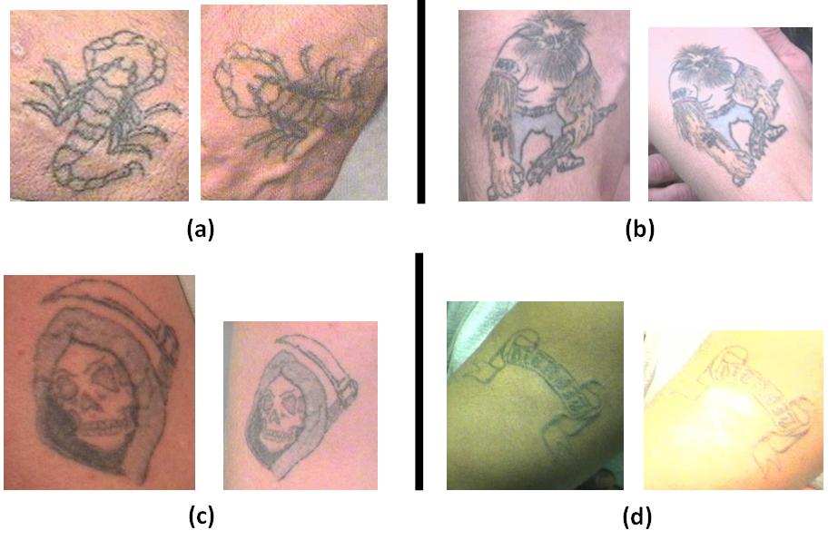 system whose goal is to find tattoo images in the database that are near-duplicates of the query tattoo image (see Figure 2).