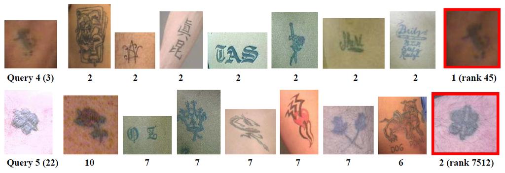 Figure 5. Retrieval examples with poor quality tattoo image queries. In each row, the first image is the query (no. of keypoints is shown in parenthesis).