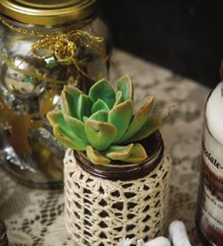 Succulent in Jar: Lovilee