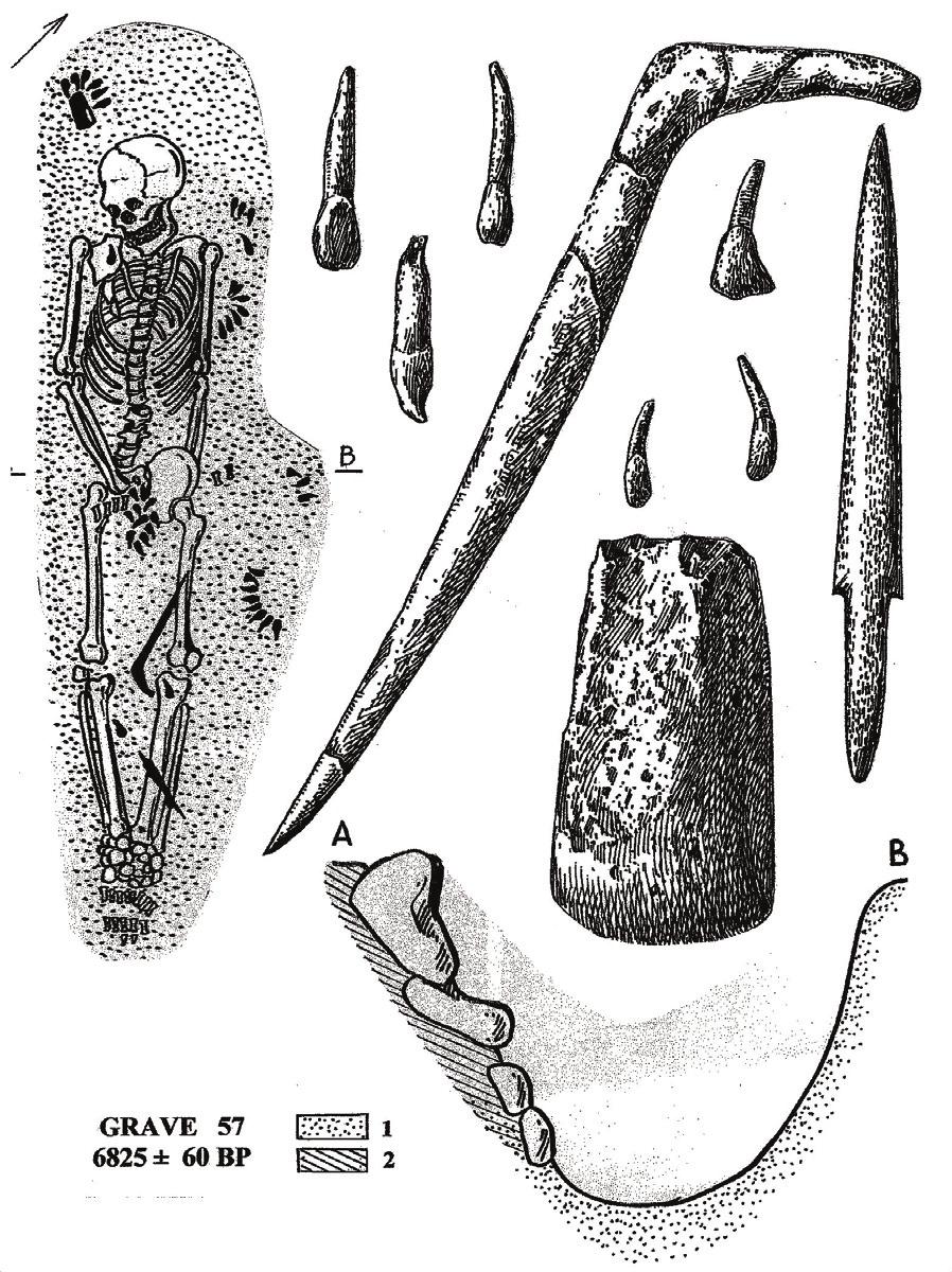All of these individuals, male and female, were perhaps prominent members of the Stone Age community. Burial 57, that of an elderly female (Fig. 7), was especially rich.