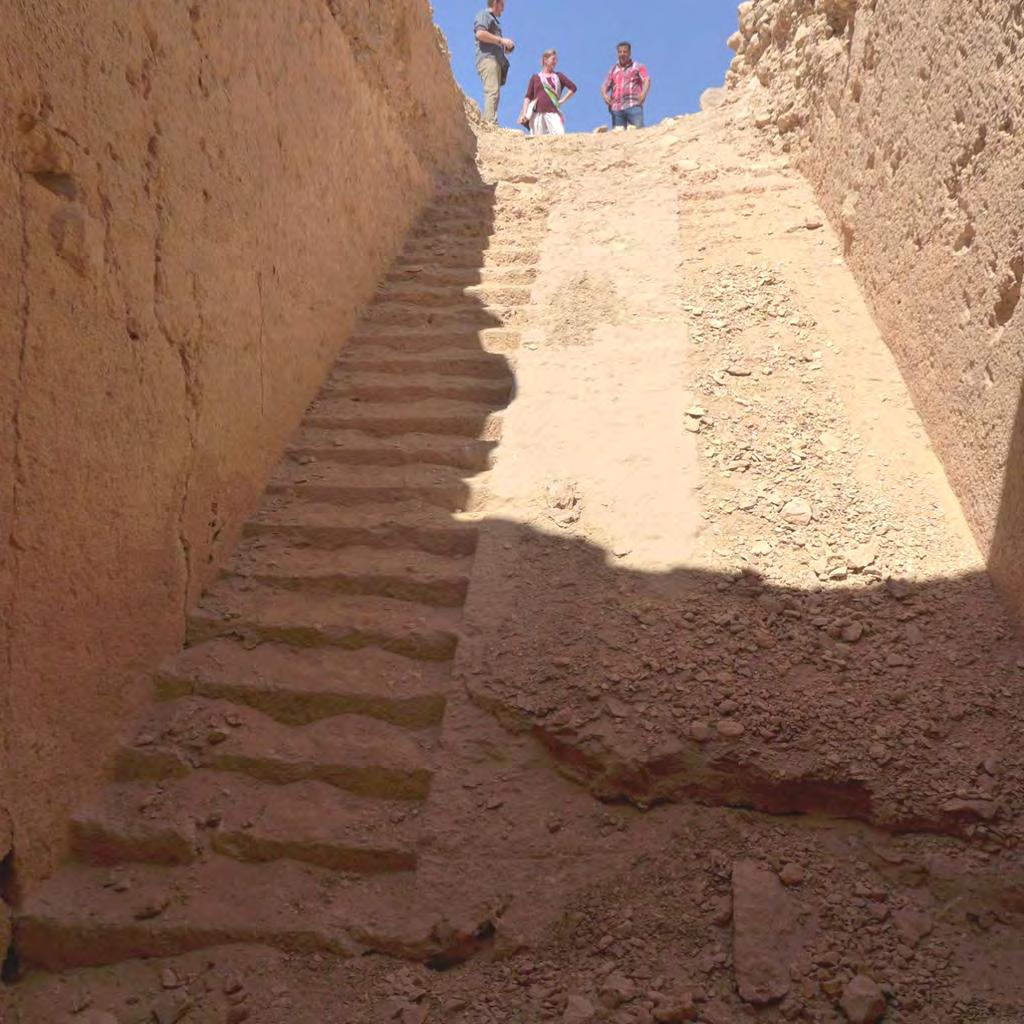 Figure 9: Looking up the entrance ramp at tomb 29. Photo B. Kemp, 2015.