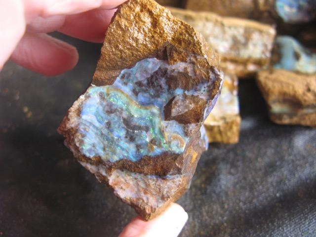 15. $295 IMG_5193 Boulder Opal Beginner s 3 kilos