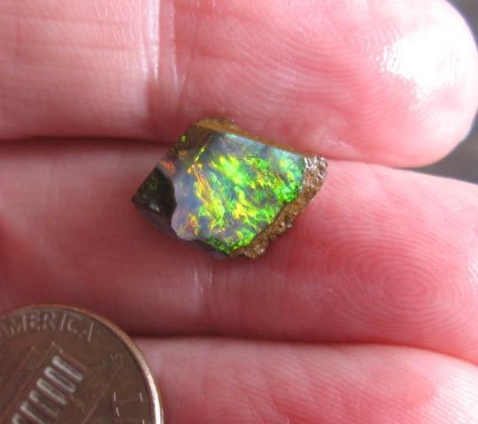 8. $149 IMG_6041 Boulder Opal rectangular brilliant Reds some Greens 18mm x 7mm 4.94cts 9.