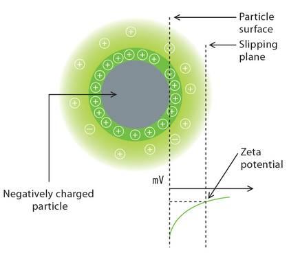 Zeta Potential: Dispersion Stability, IEP Measures