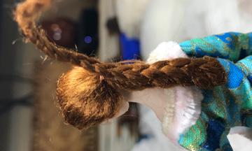 tie with thread into a pony tail.