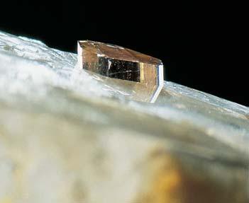 Figure 31. With very little pressure, this tourmaline inclusion could be pushed completely through the quartz host in either direction (left).