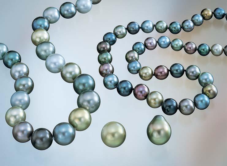 Figure 1. As multi-colored cultured pearls have become increasingly popular, a broad range of colors from the P. margaritifera including various yellow hues have arrived in the marketplace.