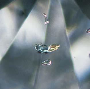 Figure 2. The bicolored inclusion in this diamond actually consists of a bluish green omphacitic pyroxene (left) and a brownish yellow almandinepyrope garnet (right) that are in direct contact.