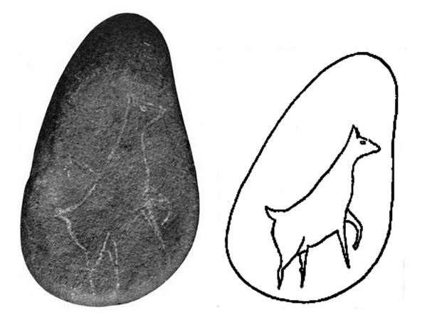Figure 5: The Nayland goat glyph, presumed to date from the Late Palaeolithic based on the style. The stone is brown quartzite pebble, c.7cm long. The find was published in 1914.