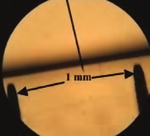 Procedure: 1. Measure the size of the diameter of the microscope under 100. a. If an ocular micrometer is available, measure the diameter of the field of view.