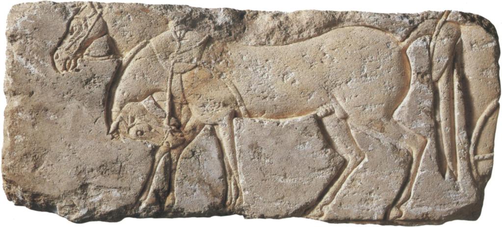 I985.328.I8 m Two Chariot Horses Height 9 in. (23 cm) ca. I345-I335 B.C. Gift of Norbert Schimmel, I985 I985.328.18 Beauty I964, no. 122; Amarna i967, no. i8; Ancient Art I974, no.