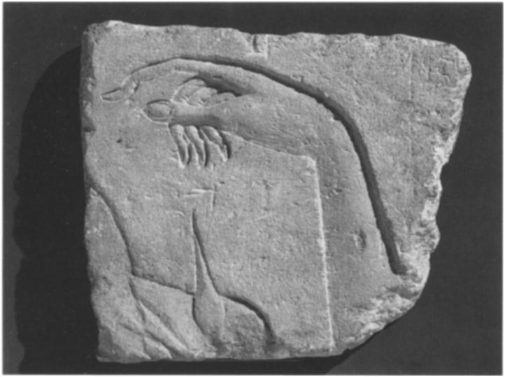 EGYPTIAN 33. THE KING'S HAND. Height 9'/4 in. (23.5 cm). Egyptian, Dynasty i8, late in the reign of Akhenaten, ca. 1345-1335 B.C. Gift of Norbert Schimmel, I985 (1985.
