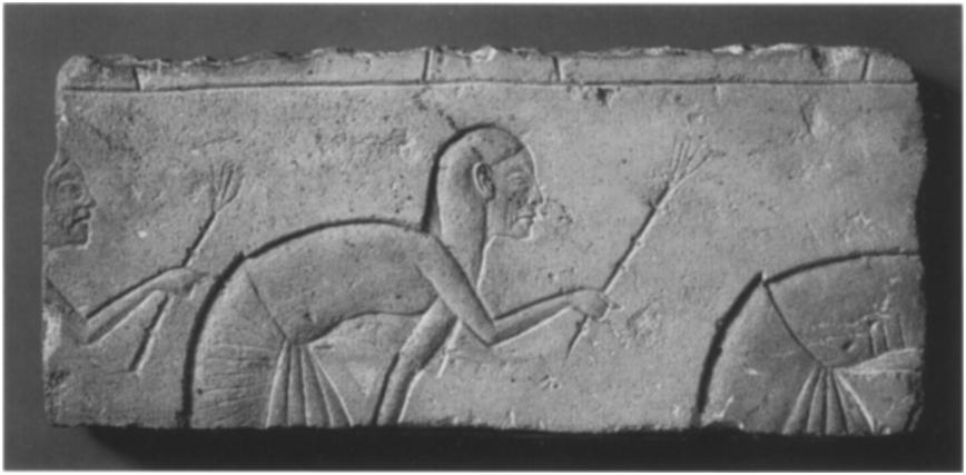 Egyptian, Dynasty I8, late in the reign of Akhenaten, ca. I345-1335 B. c. Gift of Norbert Schimmel, I985 (1985.328.4).. Beauty I964, no. 108; Amarna I967, no.