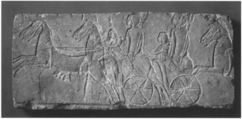 FRAGMENT OF A SCENE WITH RUNNING HORSES. Height 9 in. (23 cm). Egyptian, Dynasty i8, late in the reign of Akhenaten, ca. I345-1335 B.C. Gift of Norbert Schimmel, 1985 (1985.