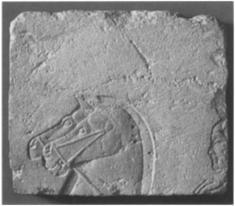 45. FRAGMENT OF A CHARIOT SCENE. Height 85/8 in. (22 cm). Egyptian, Dynasty i8, late in the reign of Akhenaten, ca. I345-I33 5 B.C. Gift of Norbert Schimmel, i985 (I985.