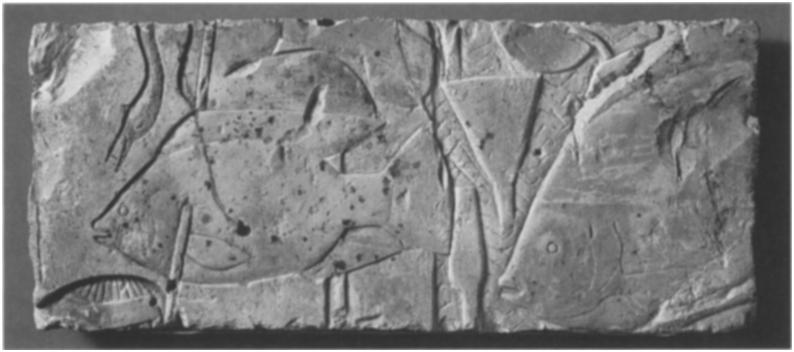 306; Catherine Rommelaere, Les chevaux du Nouvel Empire egyptien, Brussels, I991, fig. 8o 48.