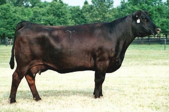 8 11a O C C BACKSTOP 888B O C C BLACKBIRD 817F ROLLIN ROCK BLACKBIRD 72 STAY B 29.7 0.28-0.015 0.22 84.8 42 Consignor:.A.C. Cattle Selling 3 or 5 embryos.