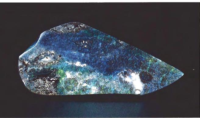 Figure 16. This polished slab was identified as oolitic opal with chalcedony matrix.