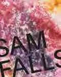 American multimedia art highlights ArT Sam Falls Edited by Clément Dirié. Text by Trinie Dalton, Sam Falls, Donatien Grau, Aram Moshayedi.