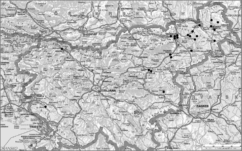 Slika 8: Geografska disperzija anketnih vprašalnikov. (Geodetski inštitut Slovenije, b.l.) 3.5 