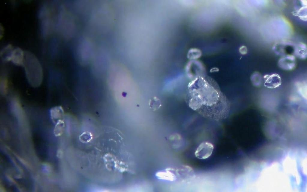 Ruby and sapphire rush near Didy, Madagascar 50 Figure 47: Zircon crystal inclusions (identified by Raman) associated with healed fissures and small black opaque crystals seen in a blue sapphire