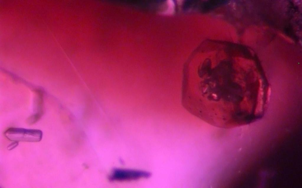 Ruby and sapphire rush near Didy, Madagascar 61 Figure 67: Orange garnet inclusion (identified with