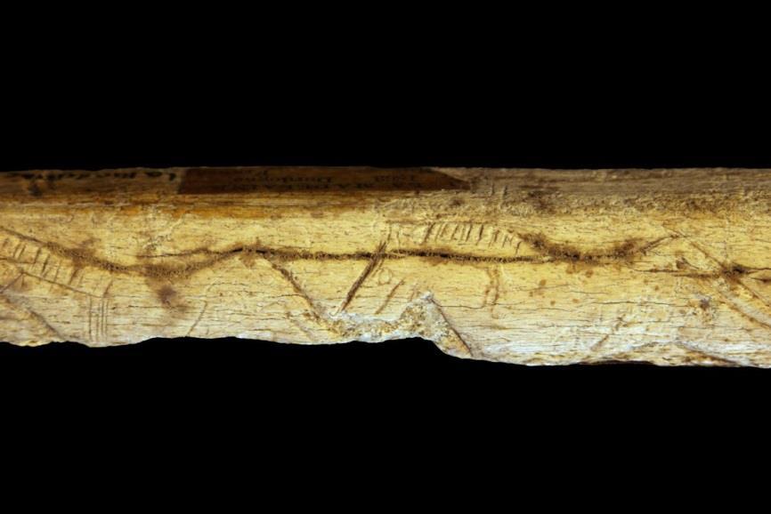 Other two-dimensional imagery Image: Horses carved on reindeer antler Location: La Madaleine, France Date: Upper Palaeolithic Picture source: Photograph by Rama, Wikimedia Commons,