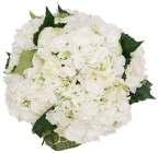 H40cm/D26cm H50cm/D33cm SAMIRA hydrangea bouquet