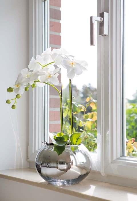 ORCHID 188214 phalaenopsis, white, with moss ball, H70cm