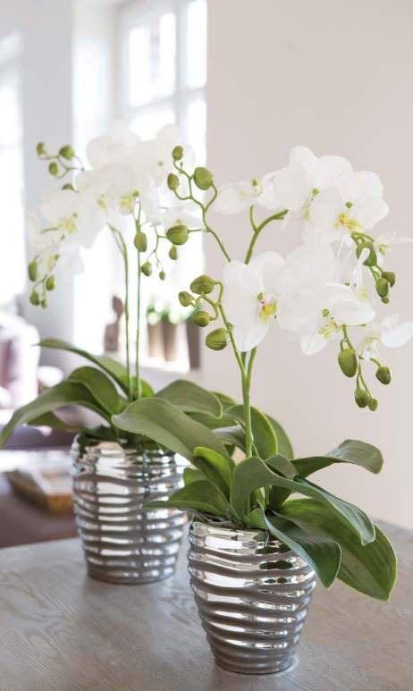 ORCHID floral arrangement + 127080 2 x blossom branch, white 2 x orchid leaves 184702