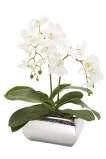 H50cm/B40cm ORCHID floral arrangement + 107023 4