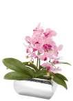 x blossom branch, pink 2 x orchid