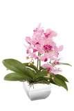 blossom branch, pink 2 x orchid leaves 184712 H50cm/B40cm SQUARE planter