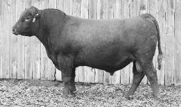 9% BROWN MS DESTINATION T7664 LSF SRR COVER GIRL A3020 Top 3.6% LSF COVER GIRL S6074 Y1436 LSF COVER GIRL LA414 S6074 Top 3.4% 188 55 14-6.6 53 91 20-1 13 7 16 1.11 0.05 15-0.01 0.