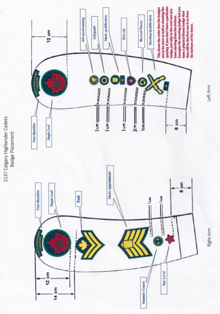 Figure 7 Badge Placement Page