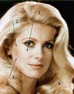 The beauty signs in Catherine Deneuve: 1 - the well marked malar area, 2 - the zygomatic area,