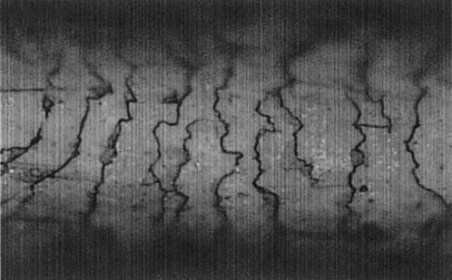 These gaps, although, somewhat irregular in shape are similar to those shown in Figure 2. Figure 6 shows punctual cavities that appeared also after solvent immersion.